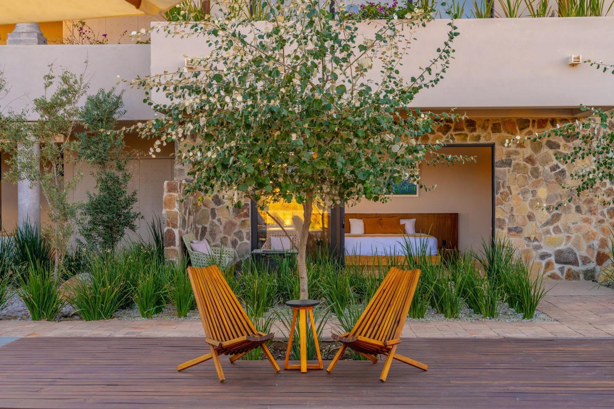 Hotel Flores De Sal-Valle De Guadalupe Ngoại thất bức ảnh