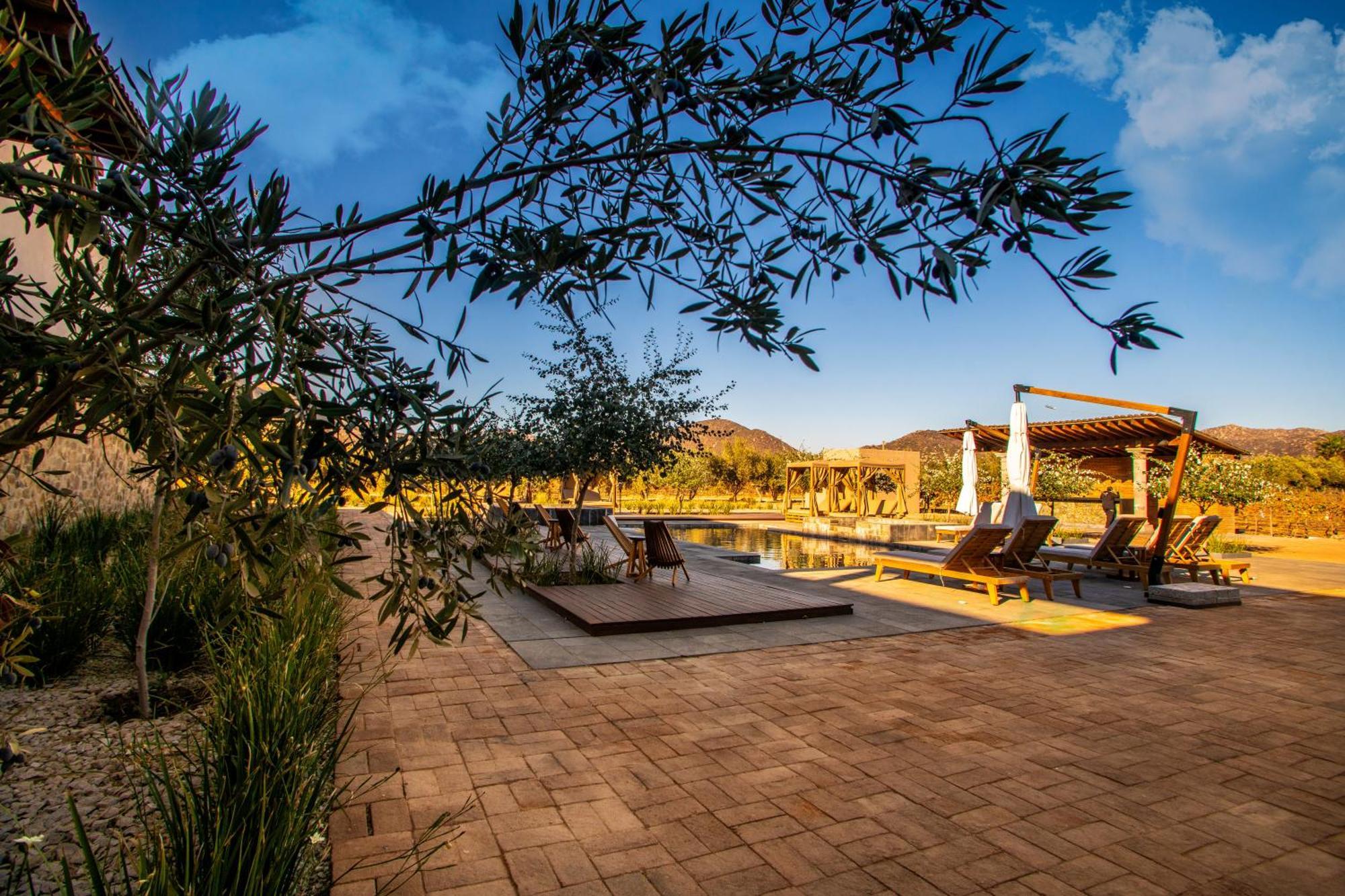 Hotel Flores De Sal-Valle De Guadalupe Ngoại thất bức ảnh