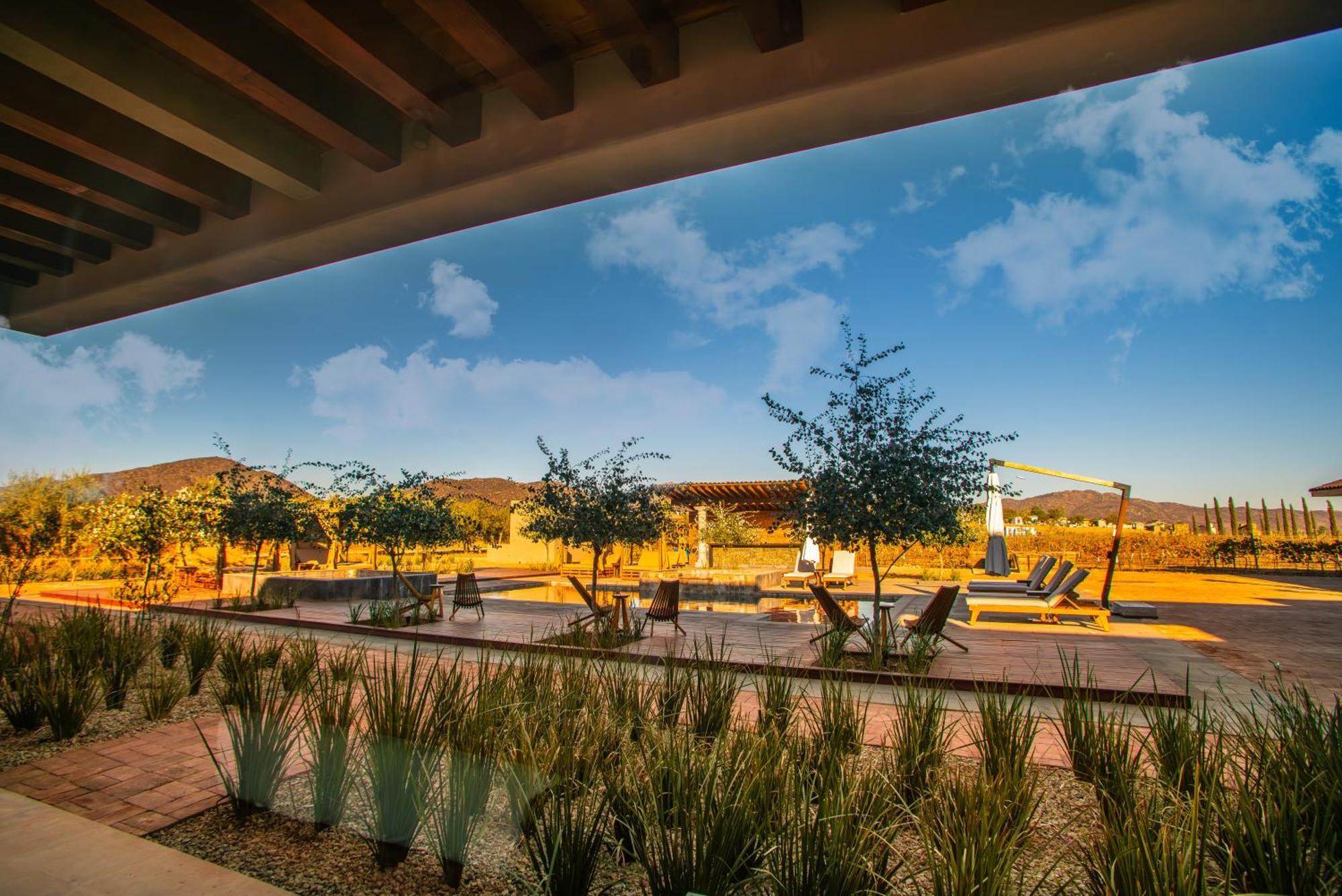 Hotel Flores De Sal-Valle De Guadalupe Ngoại thất bức ảnh