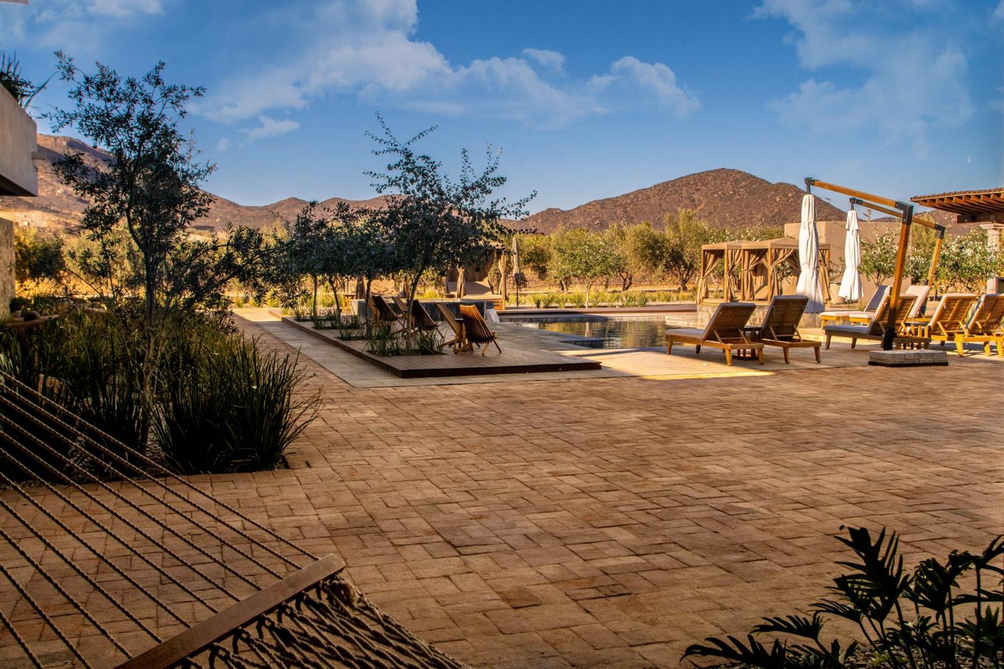 Hotel Flores De Sal-Valle De Guadalupe Ngoại thất bức ảnh