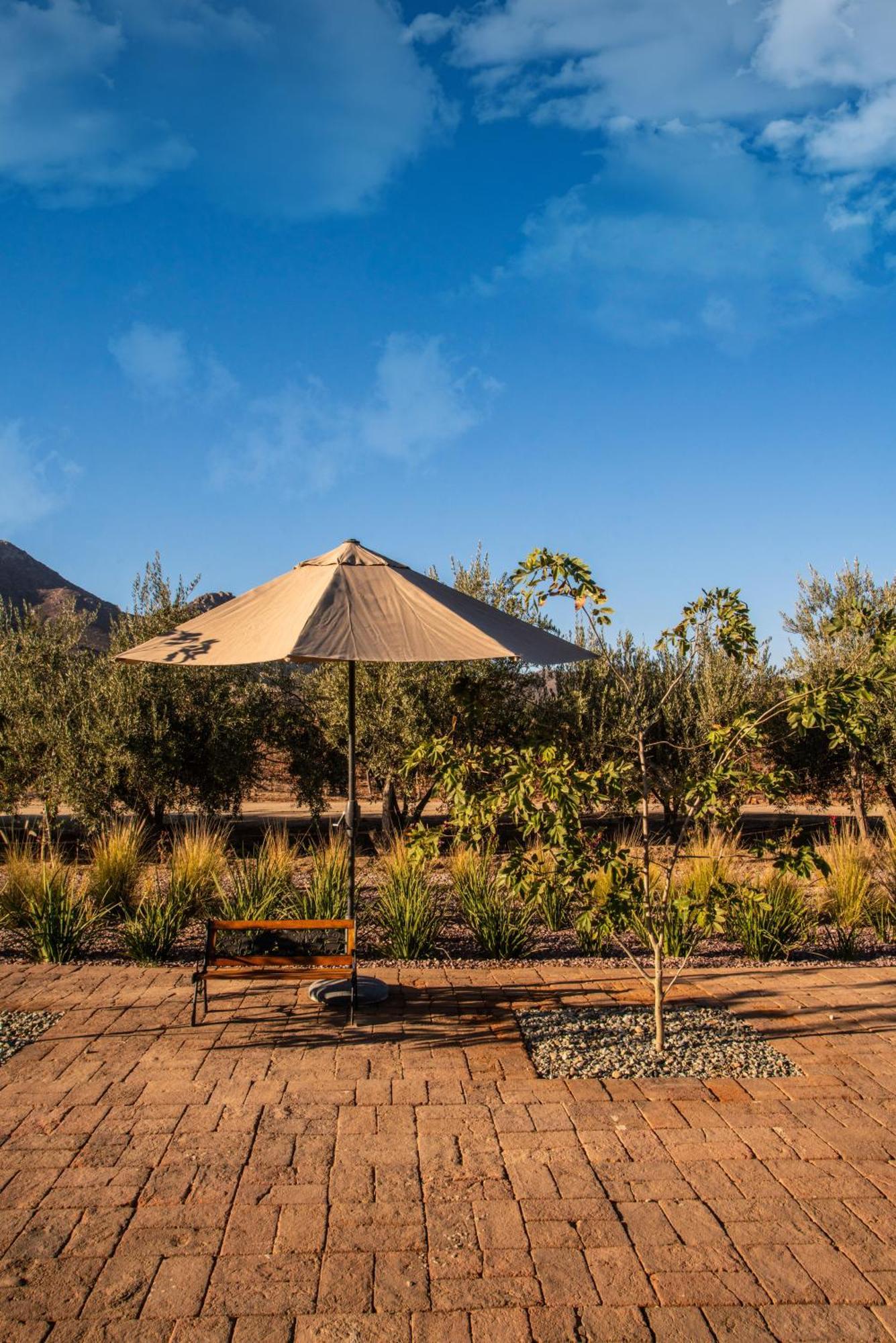 Hotel Flores De Sal-Valle De Guadalupe Ngoại thất bức ảnh