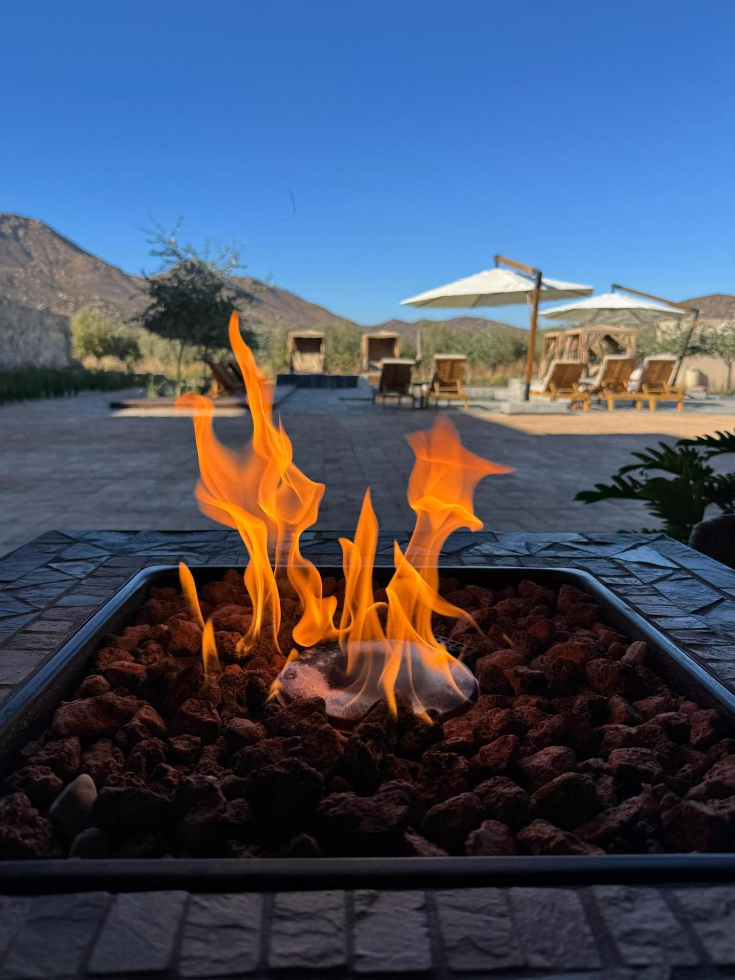 Hotel Flores De Sal-Valle De Guadalupe Ngoại thất bức ảnh